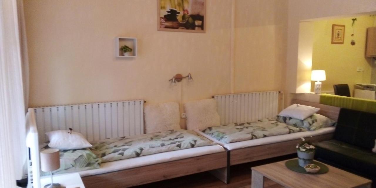 Ferienwohnung Vadszolo Vendeghaz Cák Exterior foto