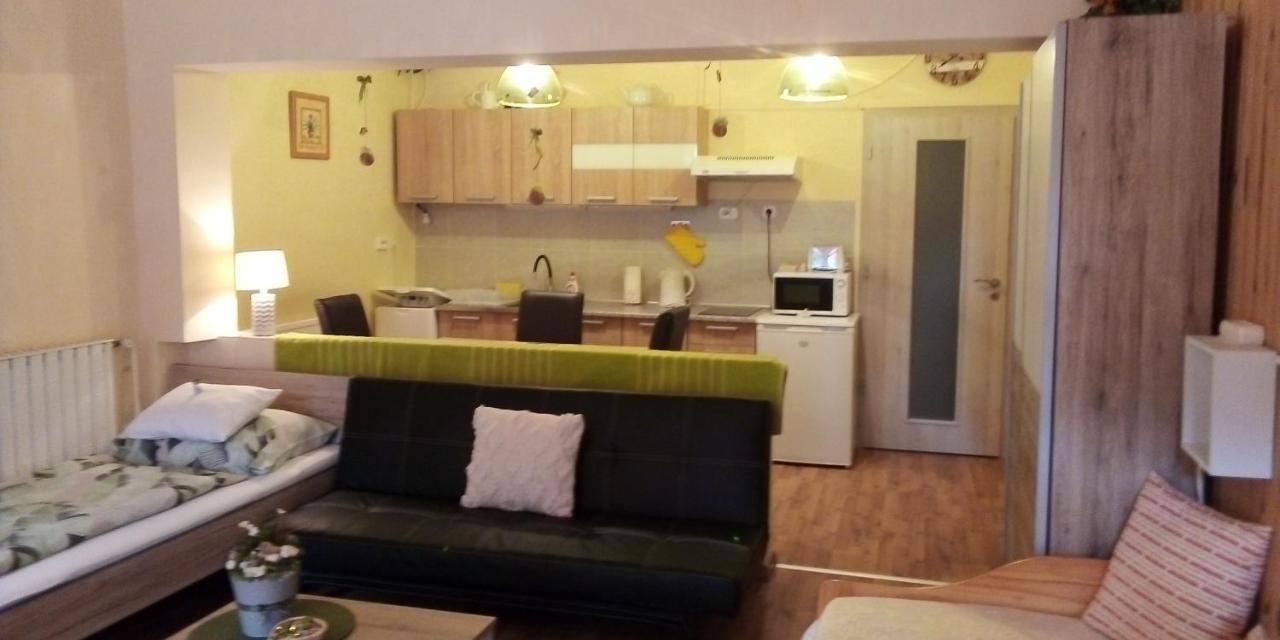 Ferienwohnung Vadszolo Vendeghaz Cák Exterior foto