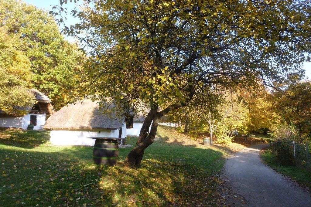 Ferienwohnung Vadszolo Vendeghaz Cák Exterior foto