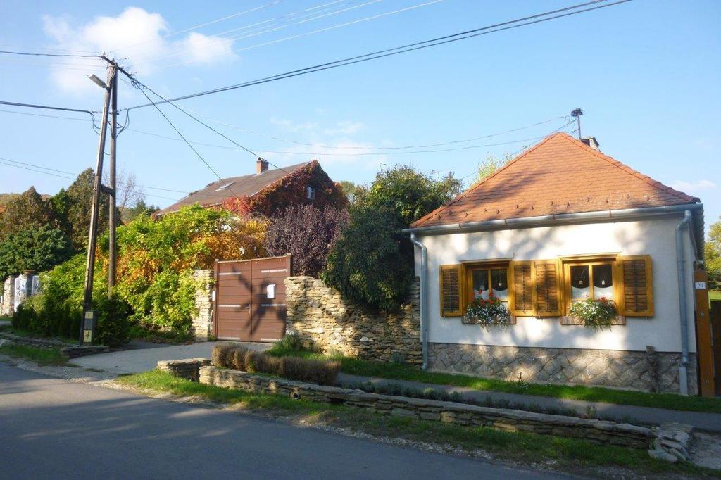 Ferienwohnung Vadszolo Vendeghaz Cák Exterior foto